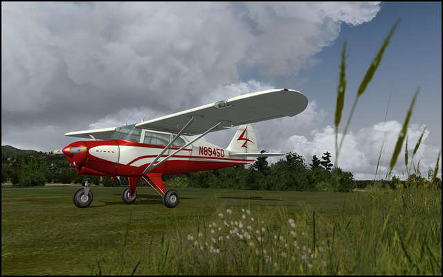 Lionheart Piper Pacer