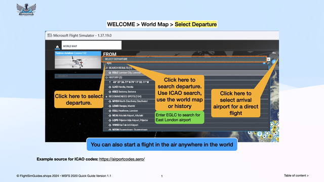 MSFS 2020 Interactive Quick Guide