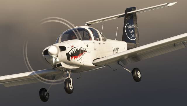 PA-38 Tomahawk Livery Pack (MSFS)