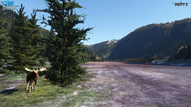 PILOT'S - CBH4 - Prairie Creek Airport
