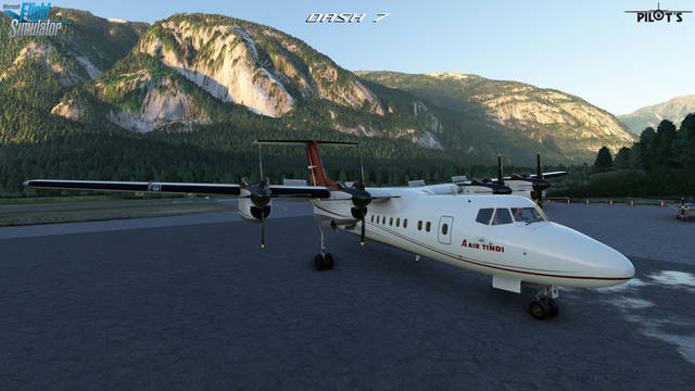 PILOT'S Dash 7