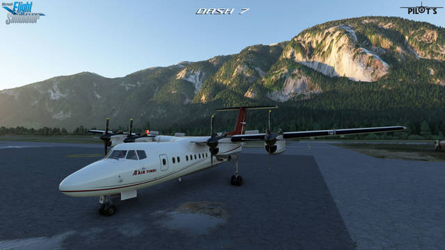 PILOT'S Dash 7