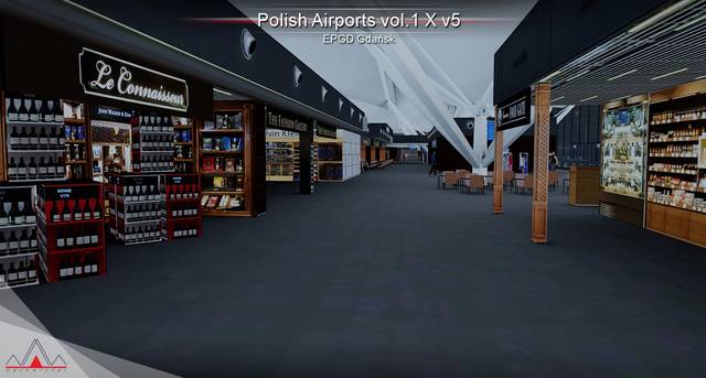 Polish Airports Vol. 1 X (V5)