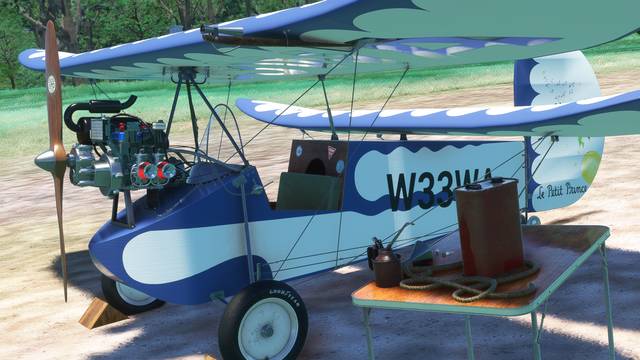 Rara-Avis Sim Flying Flea