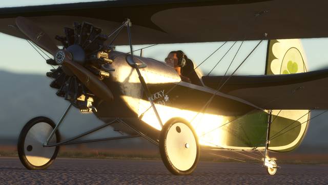 Rara-Avis Sim Flying Flea