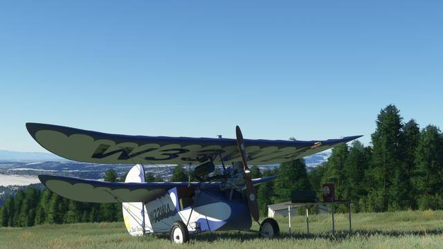 Rara-Avis Sim Flying Flea