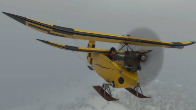 Rara-Avis Sim Flying Flea