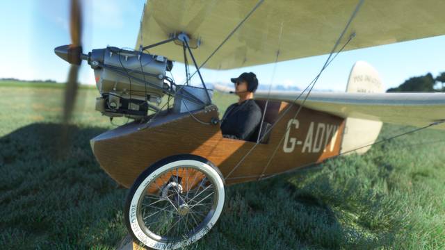 Rara-Avis Sim Flying Flea
