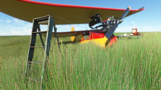 Rara-Avis Sim Flying Flea