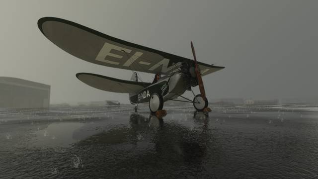 Rara-Avis Sim Flying Flea