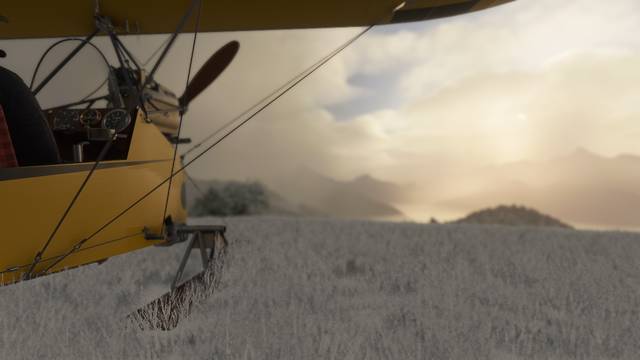 Rara-Avis Sim Flying Flea