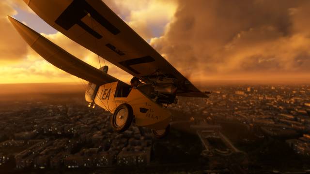 Rara-Avis Sim Flying Flea