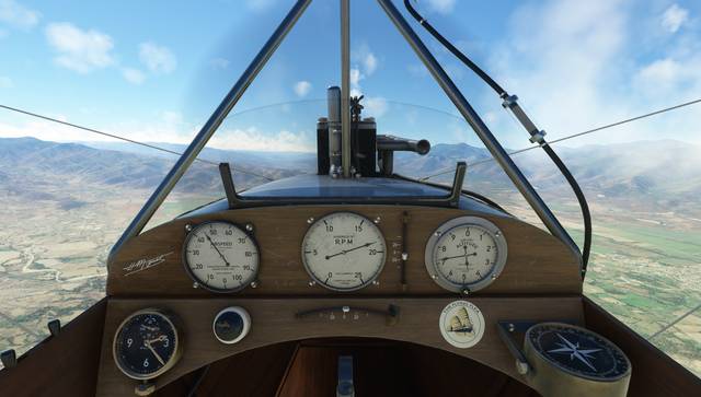 Rara-Avis Sim Flying Flea