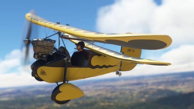Rara-Avis Sim Flying Flea