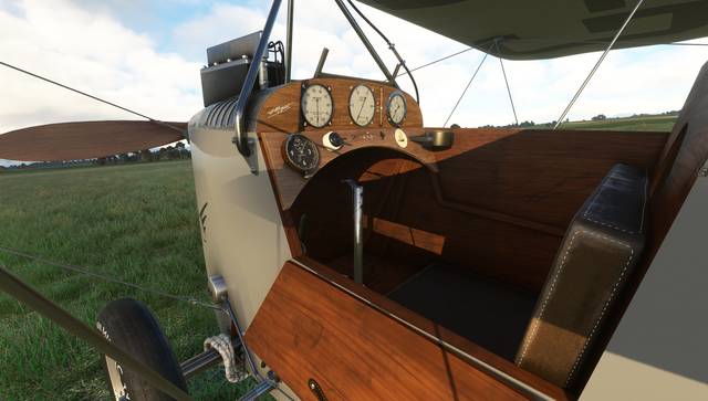 Rara-Avis Sim Flying Flea