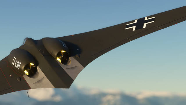 Rara-Avis Sim Horten Ho 229