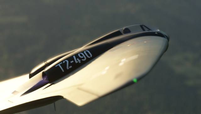 Rara-Avis Sim Horten Ho 229