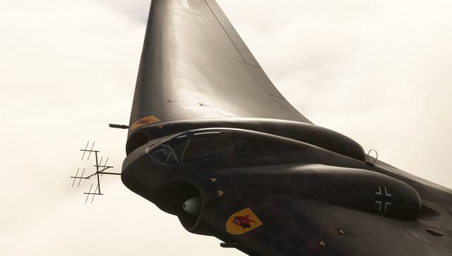 Rara-Avis Sim Horten Ho 229