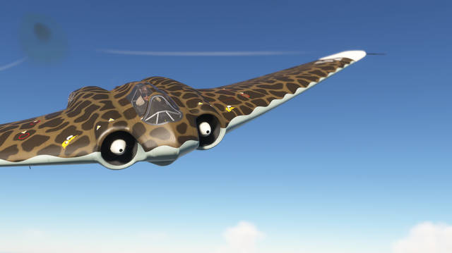 Rara-Avis Sim Horten Ho 229