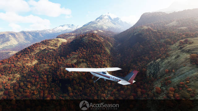 REX AccuSeason Advanced Edition 