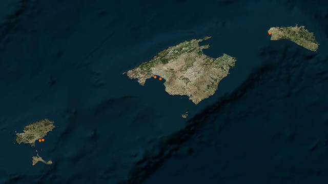 Seafront Simulations - Vessels: The Balearic Islands