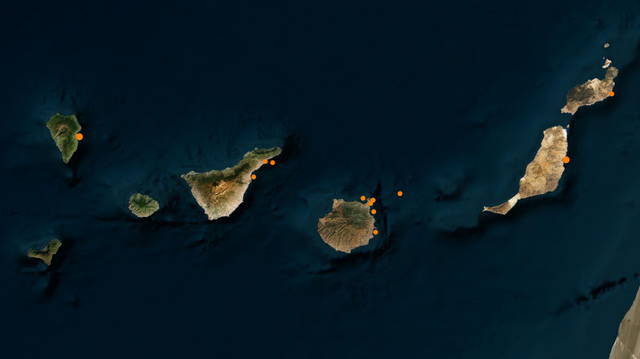 Seafront Simulations - Vessels: The Canary Islands