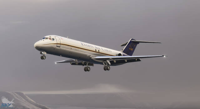 Sky Simulations McDonnell Douglas DC-9 (MSFS)