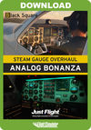 Steam Gauge Overhaul - Analog Bonanza