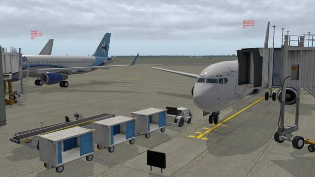 Traffic Global (for X-Plane 11 Windows)